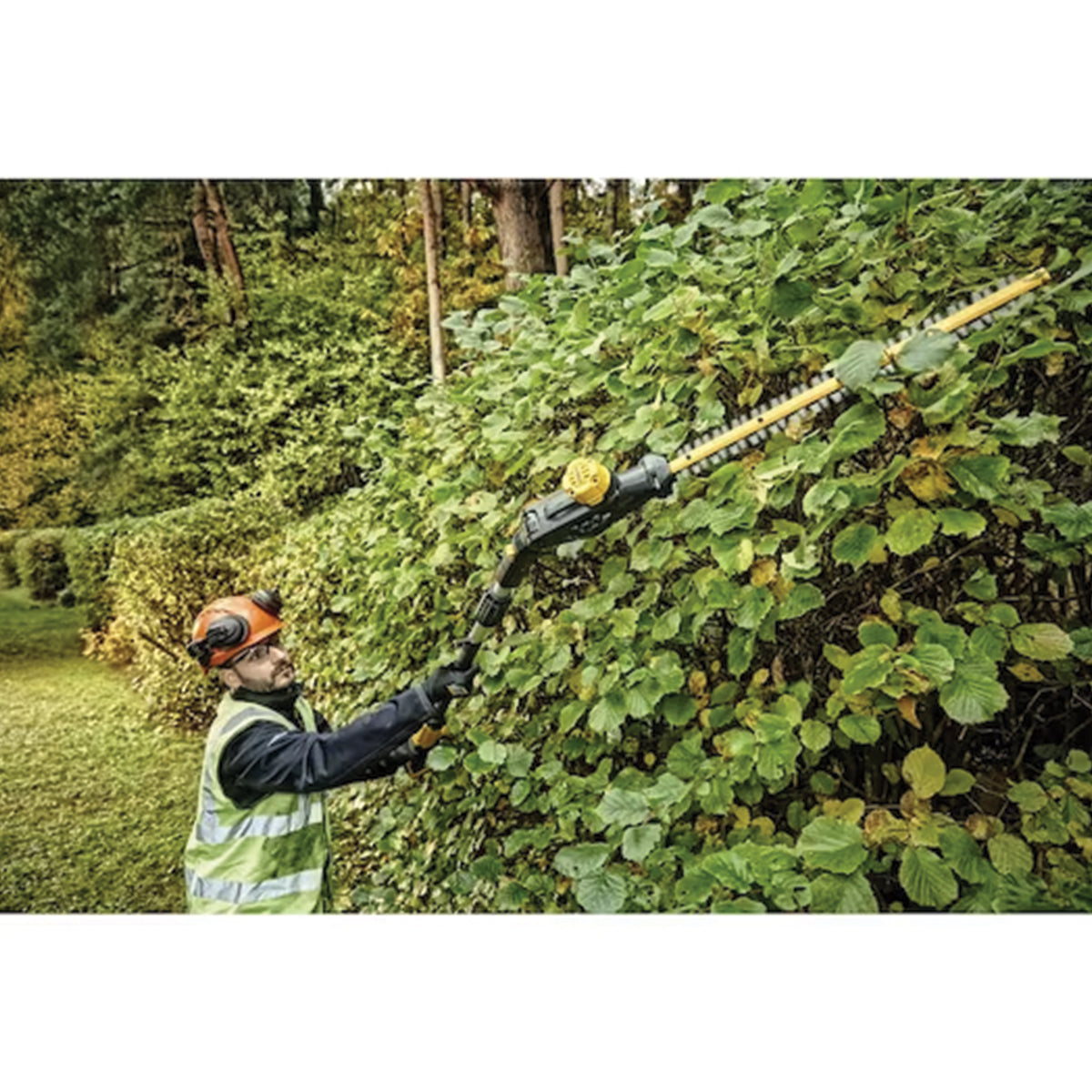 Tagliasiepi telescopico XR 18V - 5.0Ah e ACCESSORI - DeWALT - DCMPH566P1-QW Tagliasiepi telescopico XR 18V - 5.0Ah e ACCESSORI - DeWALT - DCMPH566P1-QW